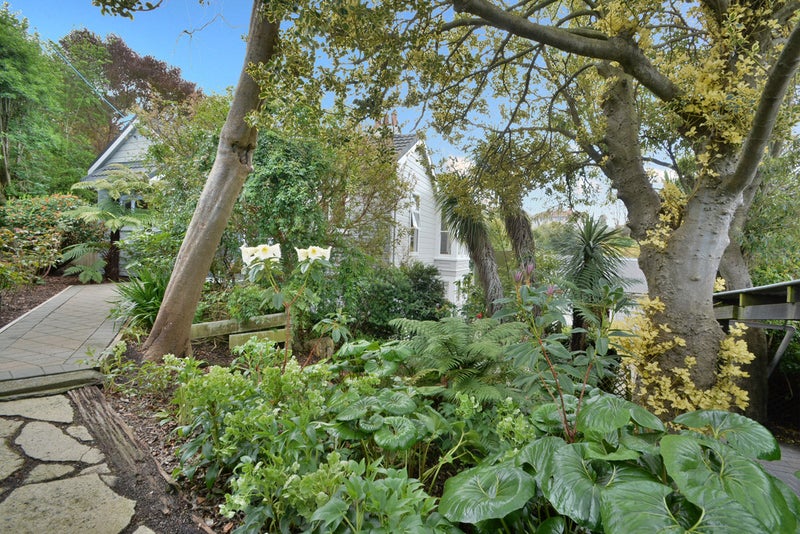 71 Pacific Street, Roslyn, Dunedin - Carousel 2