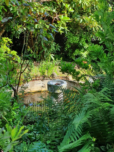 73 Earls Road, Corstorphine, Dunedin - Carousel 25