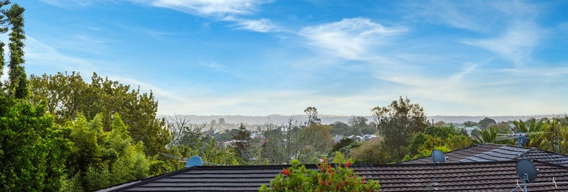 2/0 Balmoral Road, Mount Eden, Auckland - Carousel 14