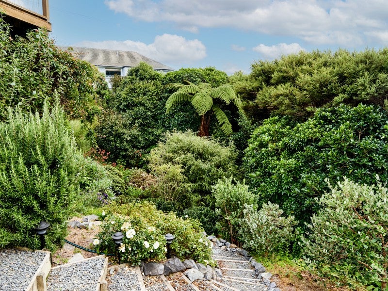 19 Gray Street, Pukerua Bay, Porirua - Carousel 26