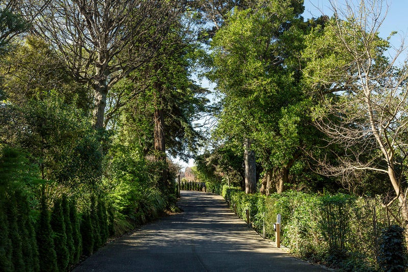 1 Montecillo Lane, Mornington, Dunedin - Carousel 19