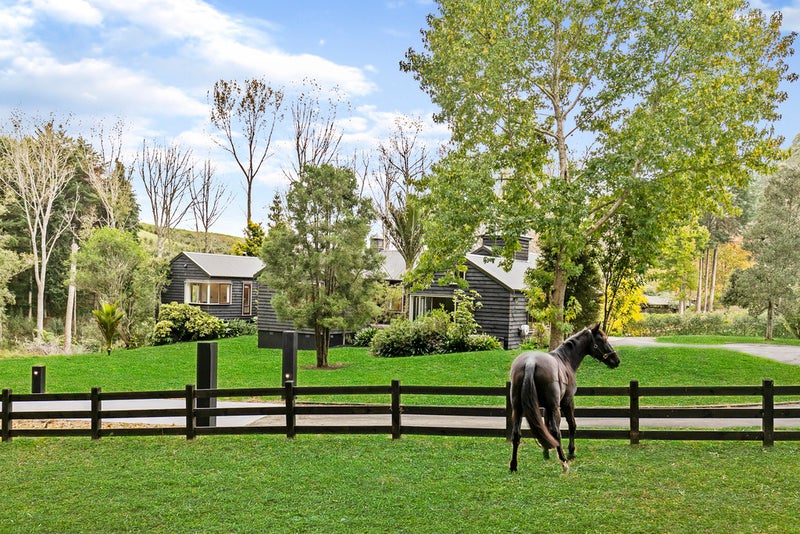 279 Ara-Kotinga, Manurewa - Carousel 2