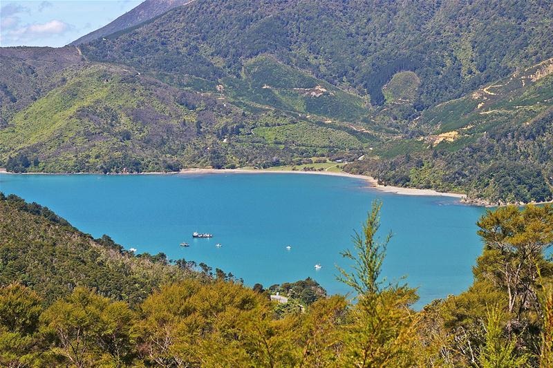 0 Whangarae Croiselles, Okiwi Bay, Marlborough - Carousel 1