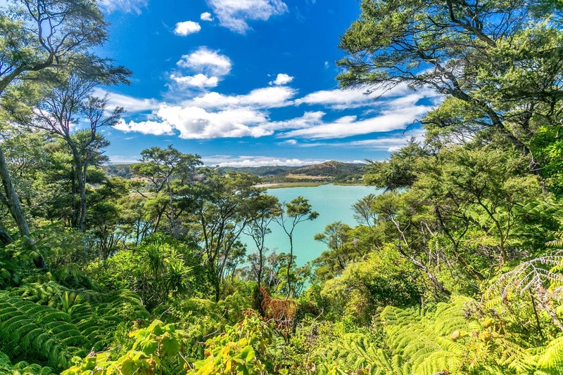 32 Albert Crescent, Ostend, Waiheke Island - Carousel 2