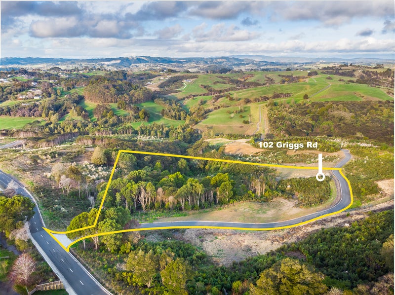 102 Griggs Road, East Tāmaki Heights, Auckland - Carousel 2