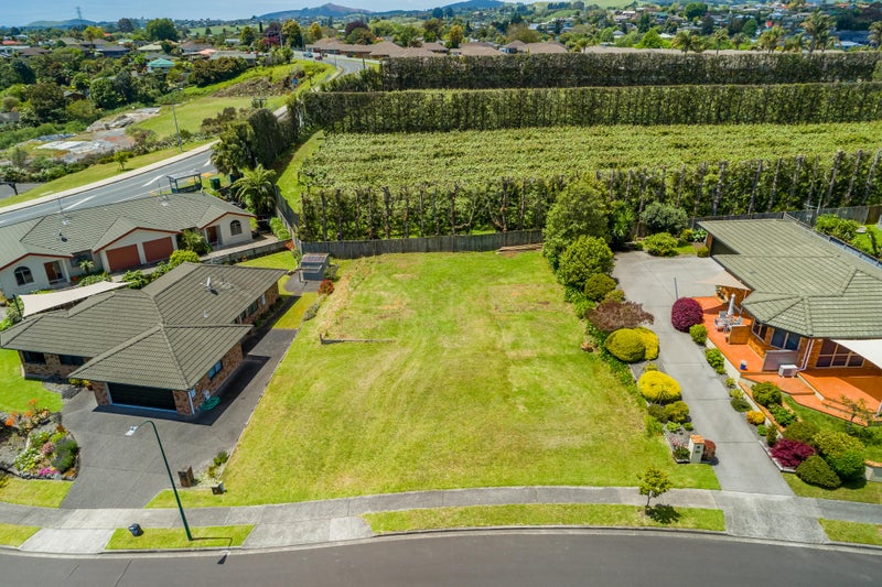 7 Corwen Avenue, Hairini, Tauranga - Carousel 2