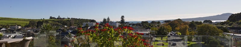 49 Patteson Avenue, Mission Bay, Auckland - Carousel 21
