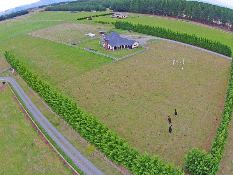 290 Bainesse Road, Rangiotu - Carousel 1