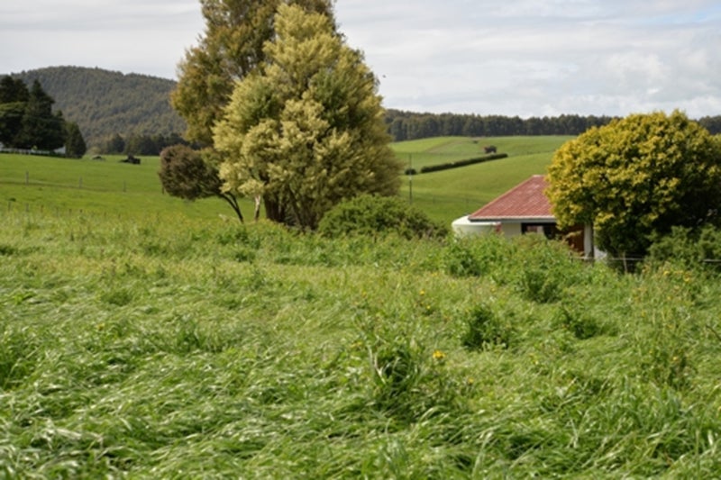 1348 Arapuni Road, Te Awamutu - Carousel 12