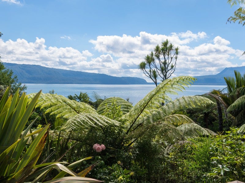 169 Spencer Road, Lake Tarawera, Rotorua - Carousel 26