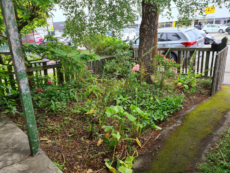 83 Macandrew Road, South Dunedin, Dunedin - Carousel 2