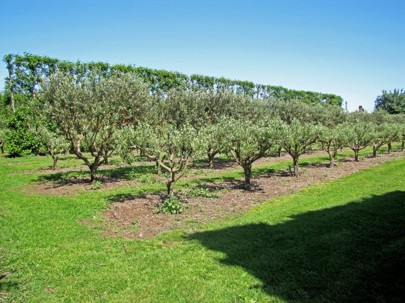 1371 Devon Road, Brixton - Carousel 14