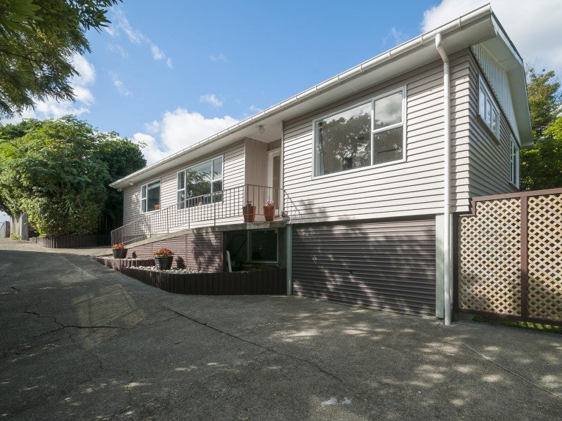 5A Stellin Street, Boulcott, Lower Hutt - Carousel 17