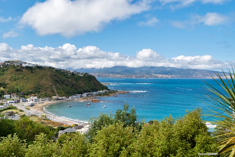 31 Milne Terrace, Island Bay, Wellington - Carousel 1