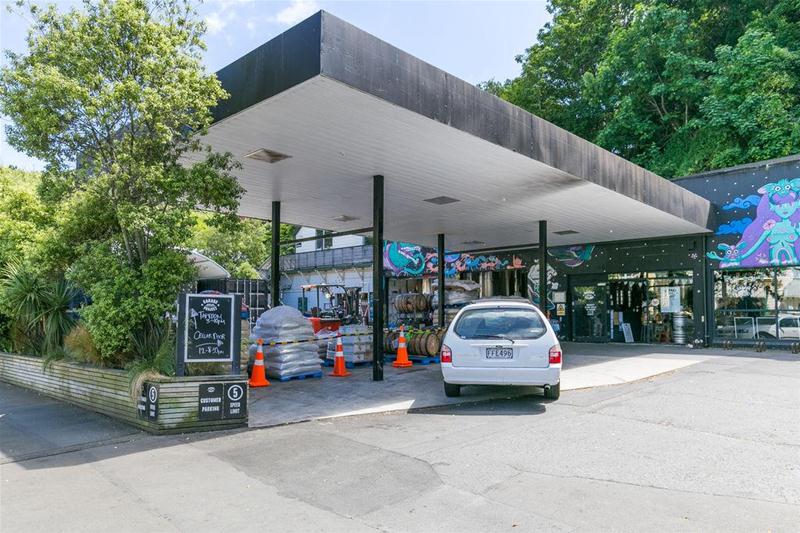 10/2 Ohiro Road, Aro Valley, Wellington - Carousel 18