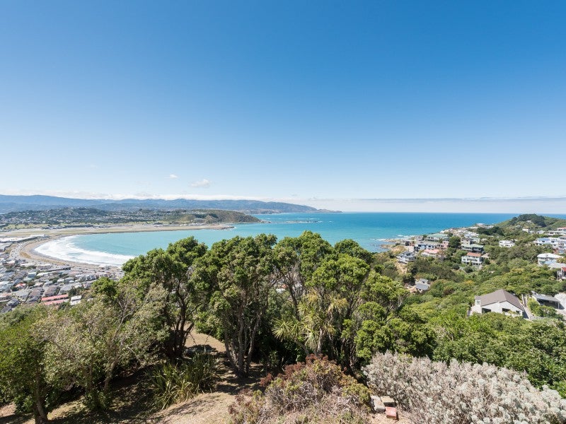 67 Hornsey Road, Melrose, Wellington - Carousel 13