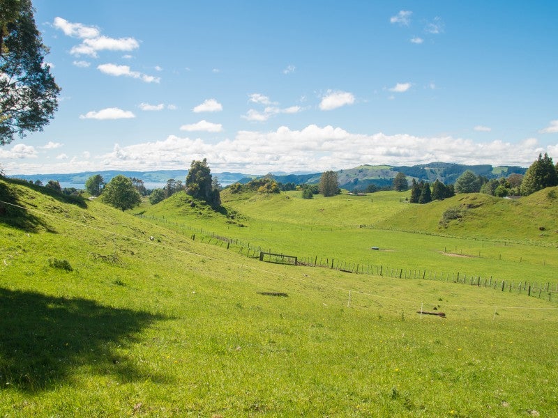 826 State Highway 5, Hamurana - Carousel 2