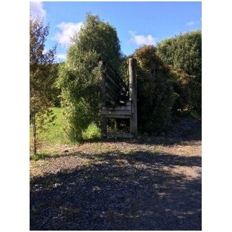 74 Mangakahia Road, Whangarei - Carousel 6