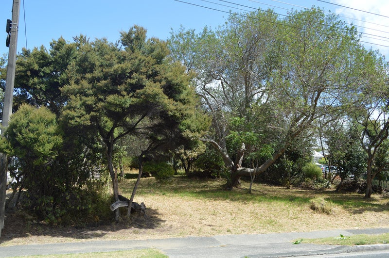 22 North Avenue, Mangawhai Heads, Mangawhai - Carousel 2