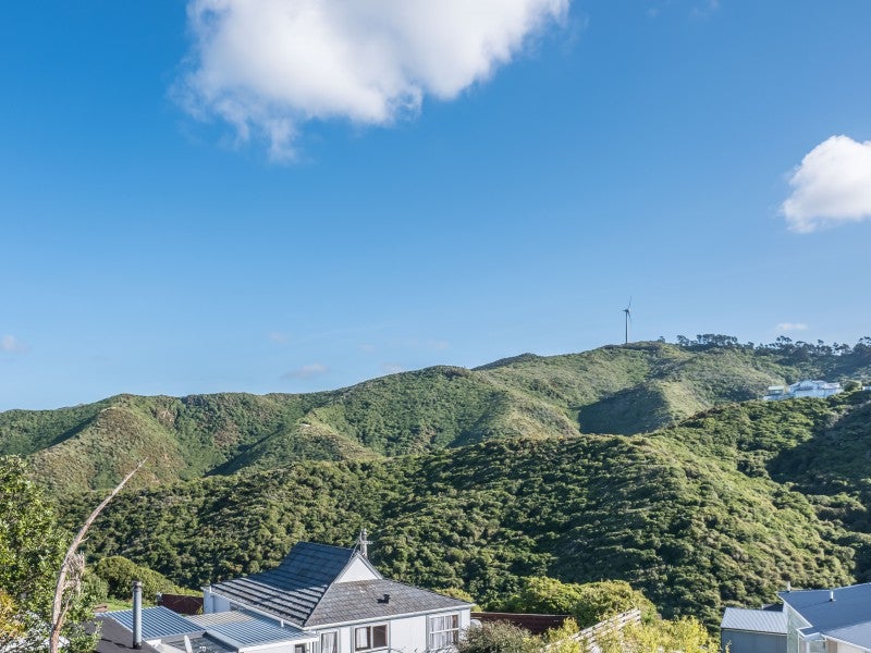 168 Mitchell Street, Brooklyn, Wellington - Carousel 23