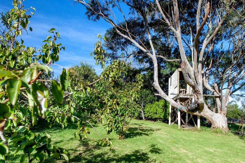 23 Lannan Road, Surfdale, Waiheke Island - Carousel 2