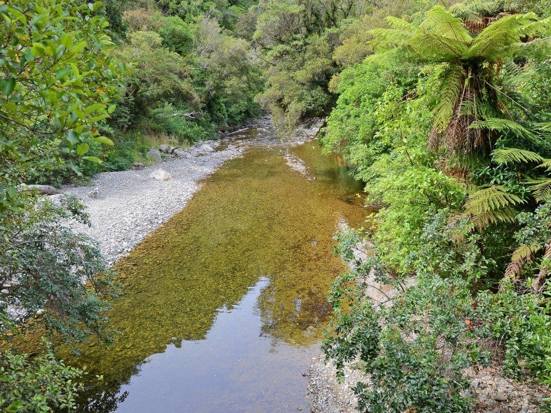 2497 Akatarawa Road, Akatarawa Valley, Upper Hutt - Carousel 2