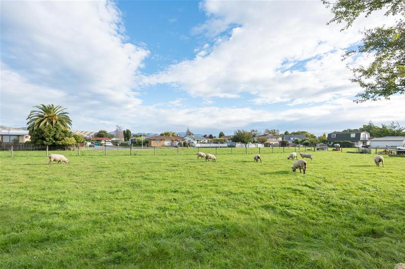 86A Budge Street, Riversdale, Blenheim - Carousel 21