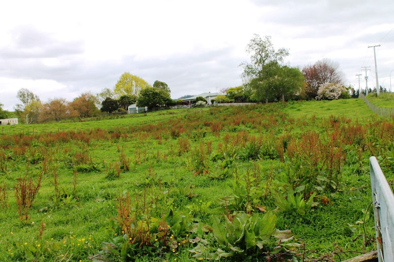 30 State Highway 5, Tirau - Carousel 1