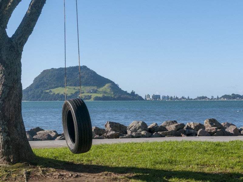 12 Waratah Street, Matua, Tauranga - Carousel 16