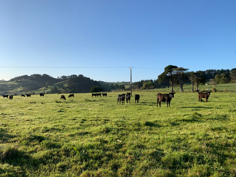 0 Ovens Rd, Matakohe - Carousel 1