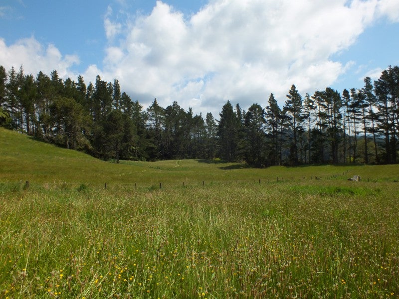 588 MCLAREN FALLS ROAD, Omanawa, Tauranga - Carousel 22