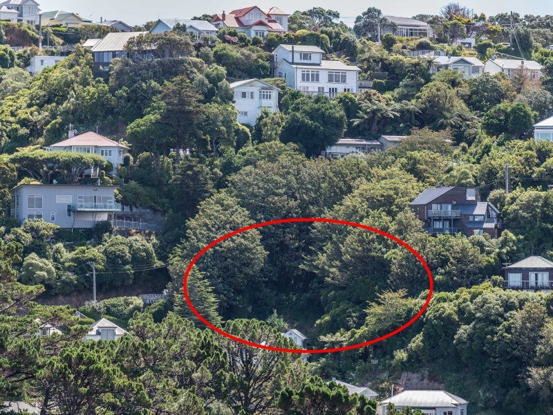 34 Orangi Kaupapa Road, Northland, Wellington - Carousel 1