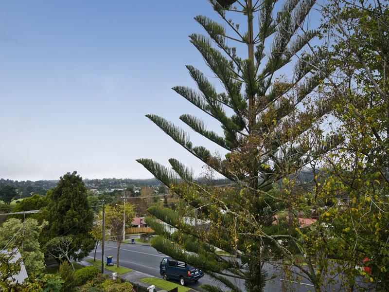 37 Glengarry Road, Glen Eden, Auckland - Carousel 17
