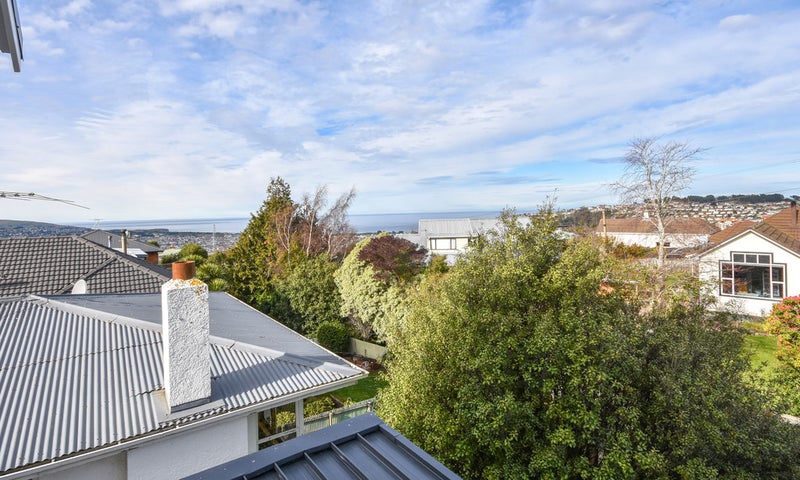 207 Elgin Road, Balaclava, Dunedin - Carousel 20