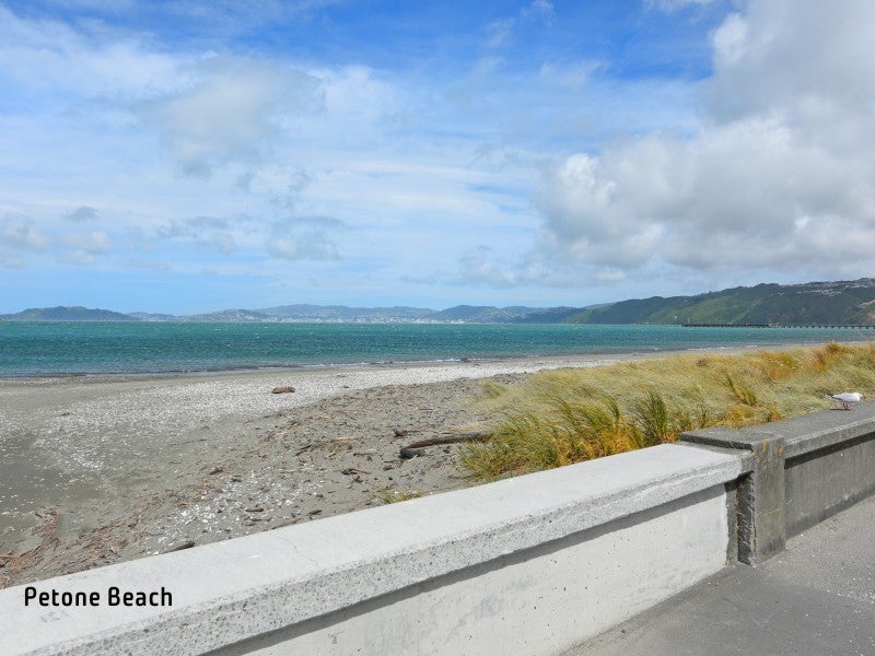 20/18 King Street, Petone, Lower Hutt - Carousel 16