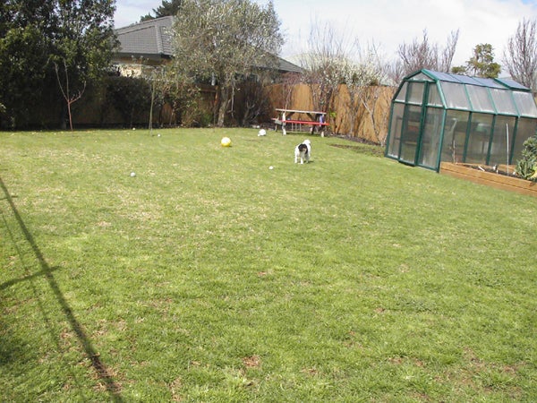 33 Parewaitai Court, Papamoa Beach, Papamoa - Carousel 2