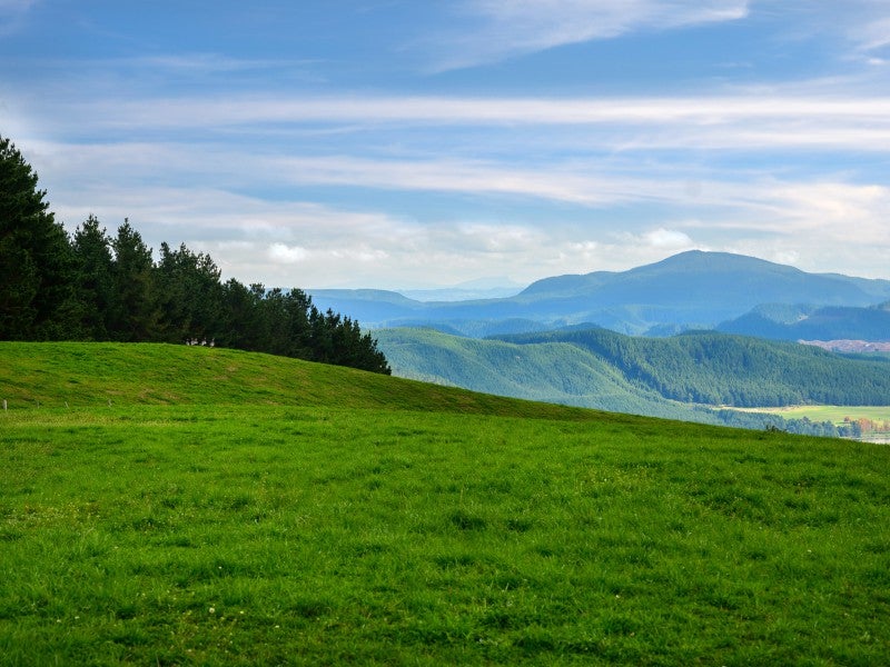 494 Dods Road, Rotorua - Carousel 2