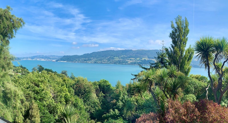 26 Jane Street, Macandrew Bay, Dunedin - Carousel 2