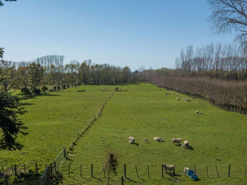11 Pokohiwi Road, Homebush, Masterton - Carousel 2
