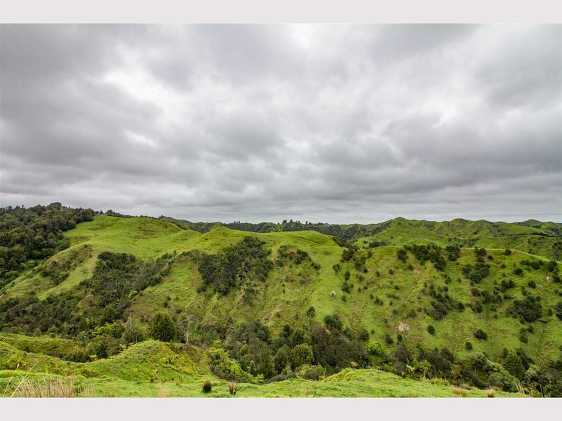 950 Waimate Road, WAIMATE NORTH, KERIKERI - Carousel 20