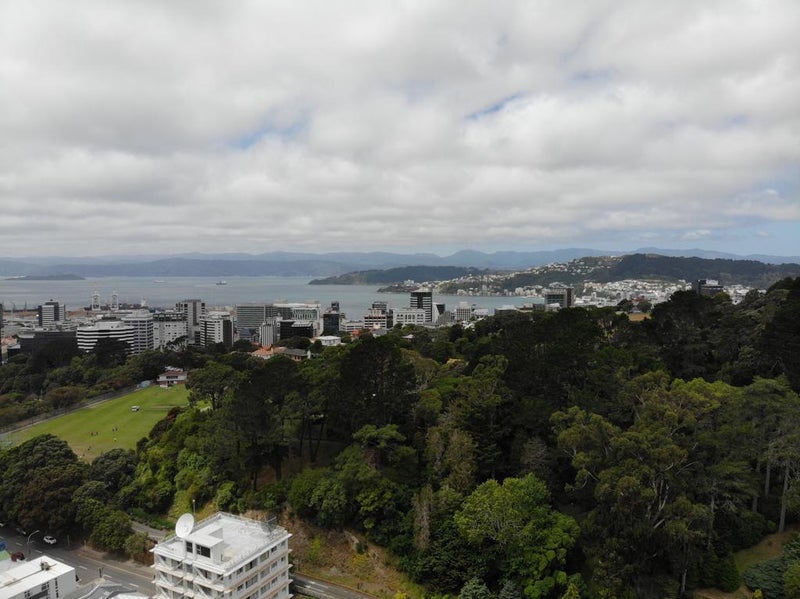 14H Glenmore Street, Thorndon, Wellington - Carousel 2