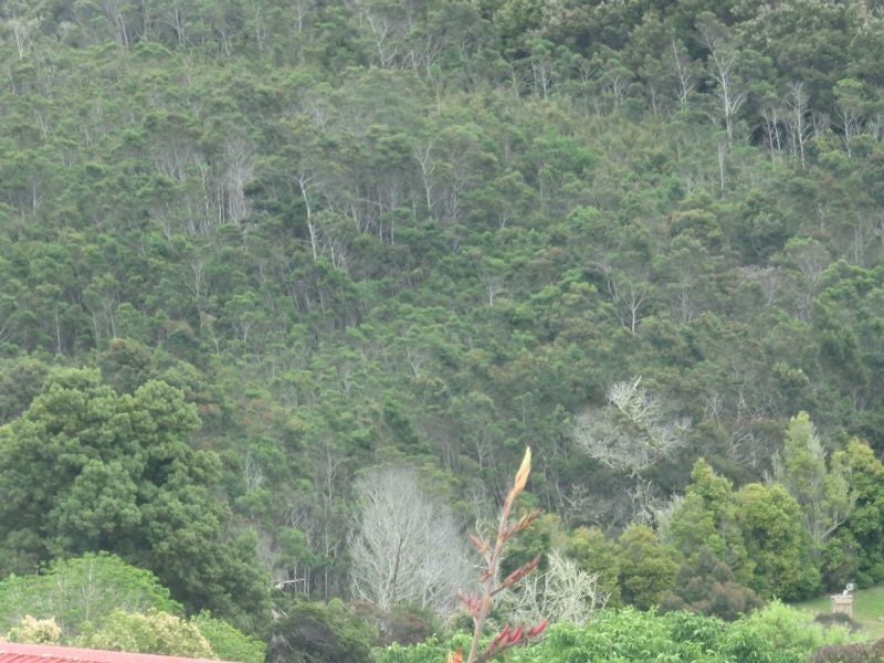 15 Richmond Road, Mangonui - Carousel 11