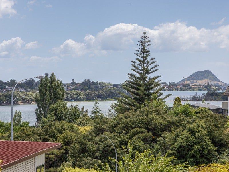 19A Wickham Place, Hairini, Tauranga - Carousel 2