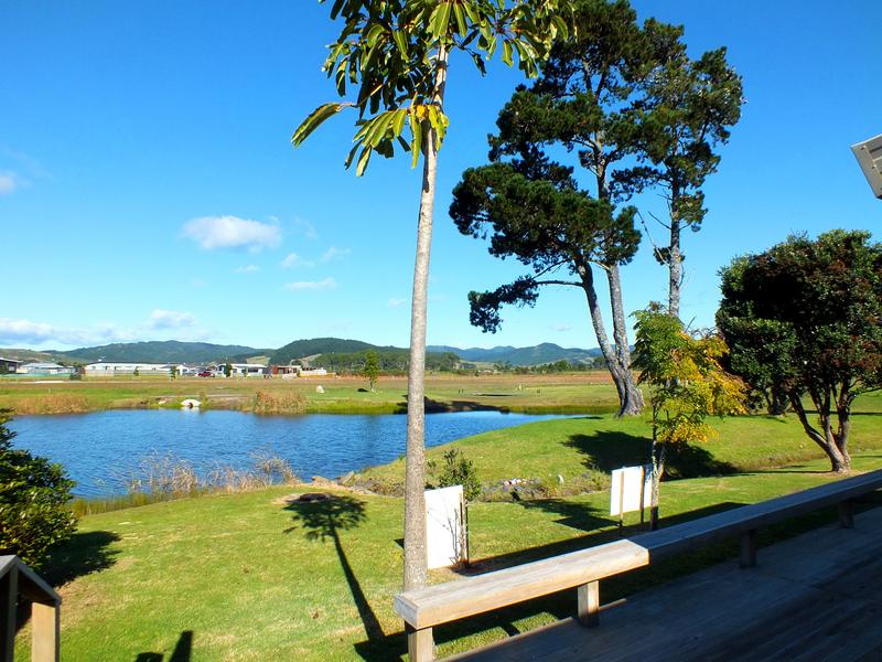 157B Long Drive, St Heliers, Auckland - Carousel 16