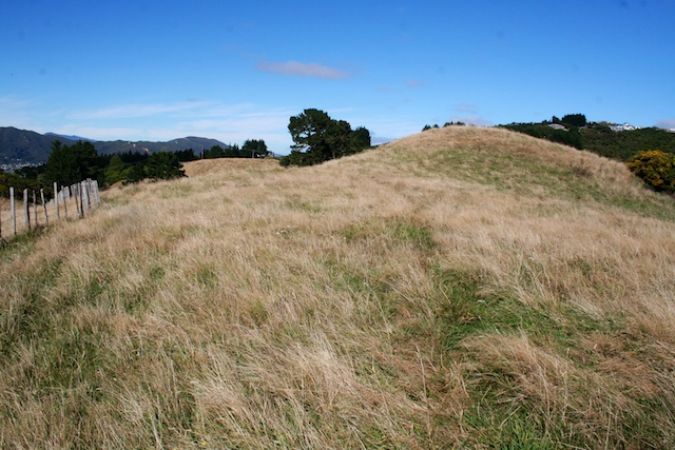 176 Liverton Road, KELSON, LOWER HUTT - Carousel 2