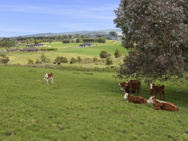 151 Old Parua Bay Road, Whangarei - Carousel 20