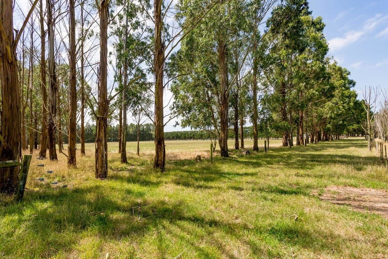 942 Ellesmere Junction Road, Christchurch - Carousel 26