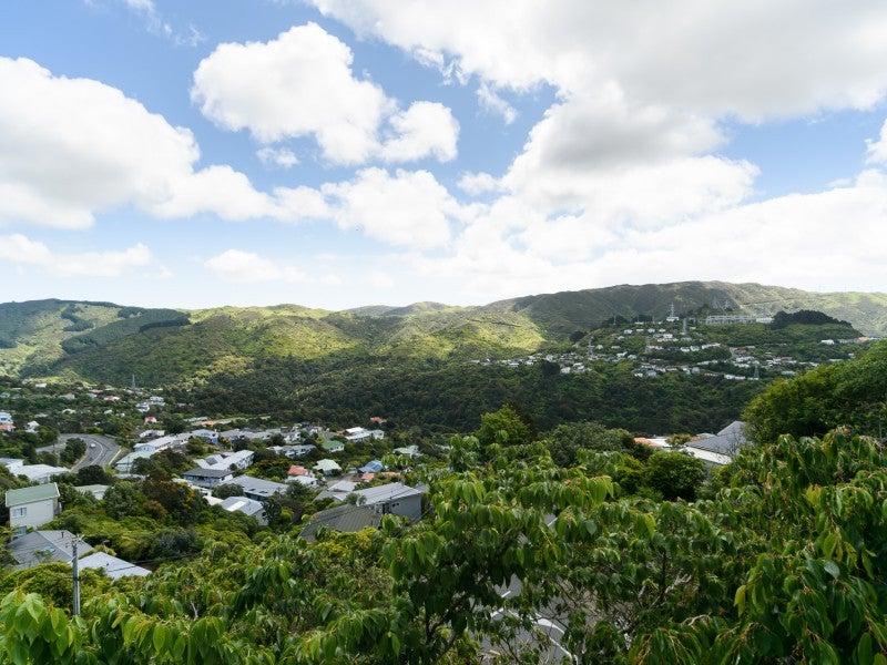 135 Cecil Road, Wadestown, Wellington - Carousel 7