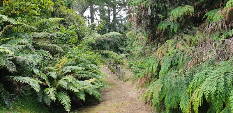 0 State Highway 31, Kawhia, Kawhia - Carousel 2