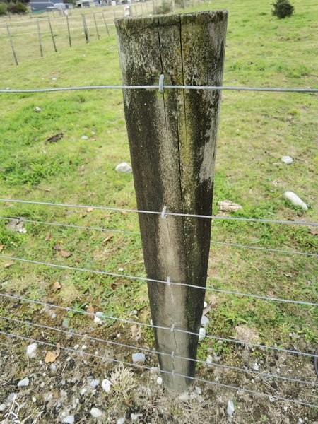 20 Mehrtens Road, Arahura Valley - Carousel 9